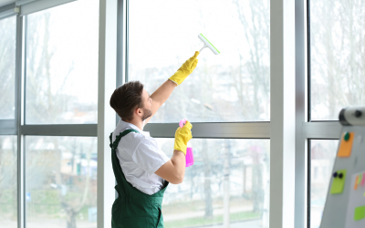 Window Washing